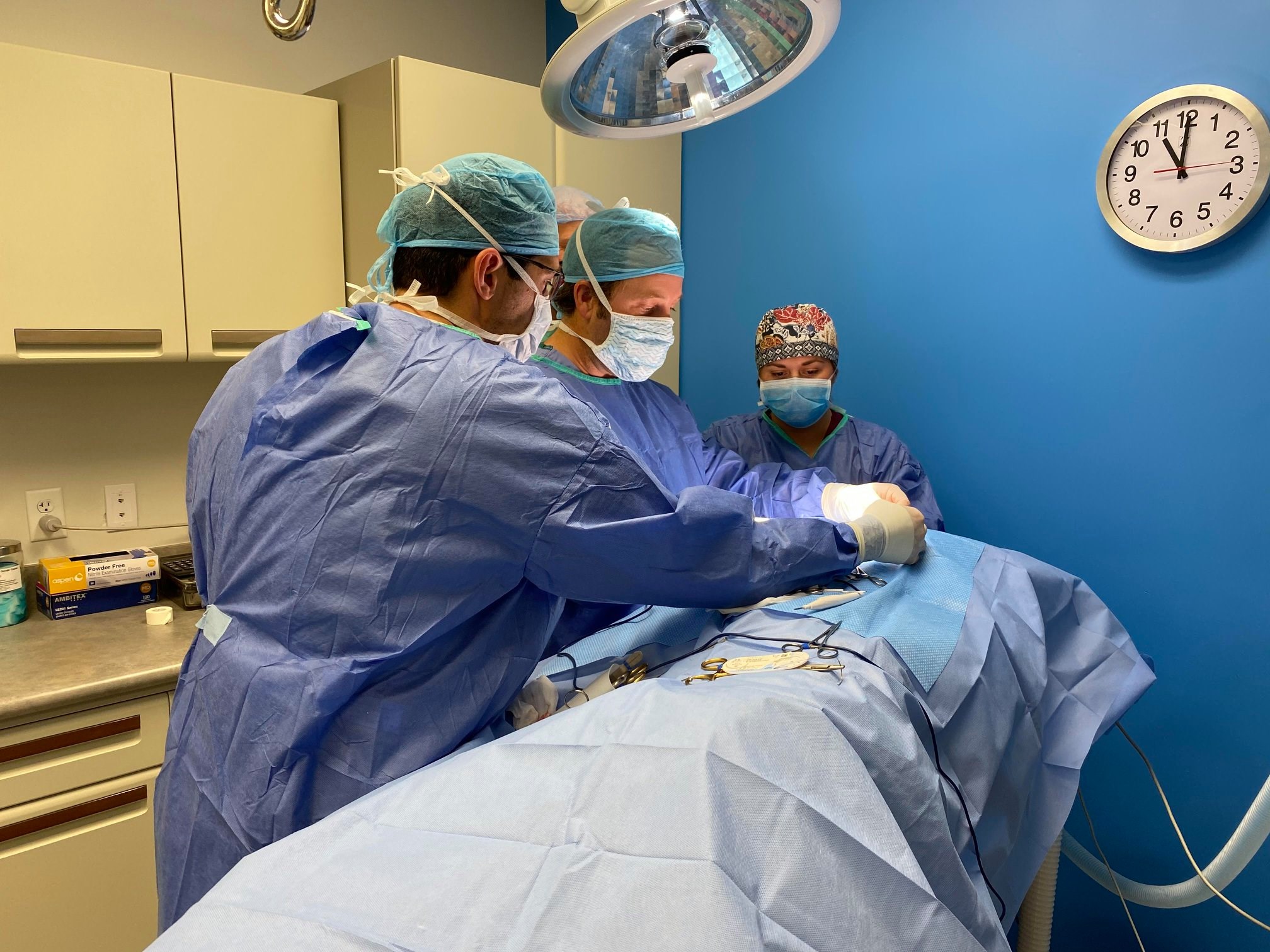 Dr. Justin Harper, DVM, MS, Diplomate ACVS-LA, Owner of Texas Specialty Veterinary Services
